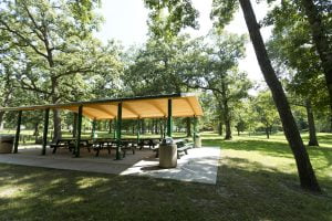 Picnic area with tables in sunny park.