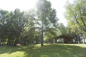 Sunny park with trees and picnic pavilion