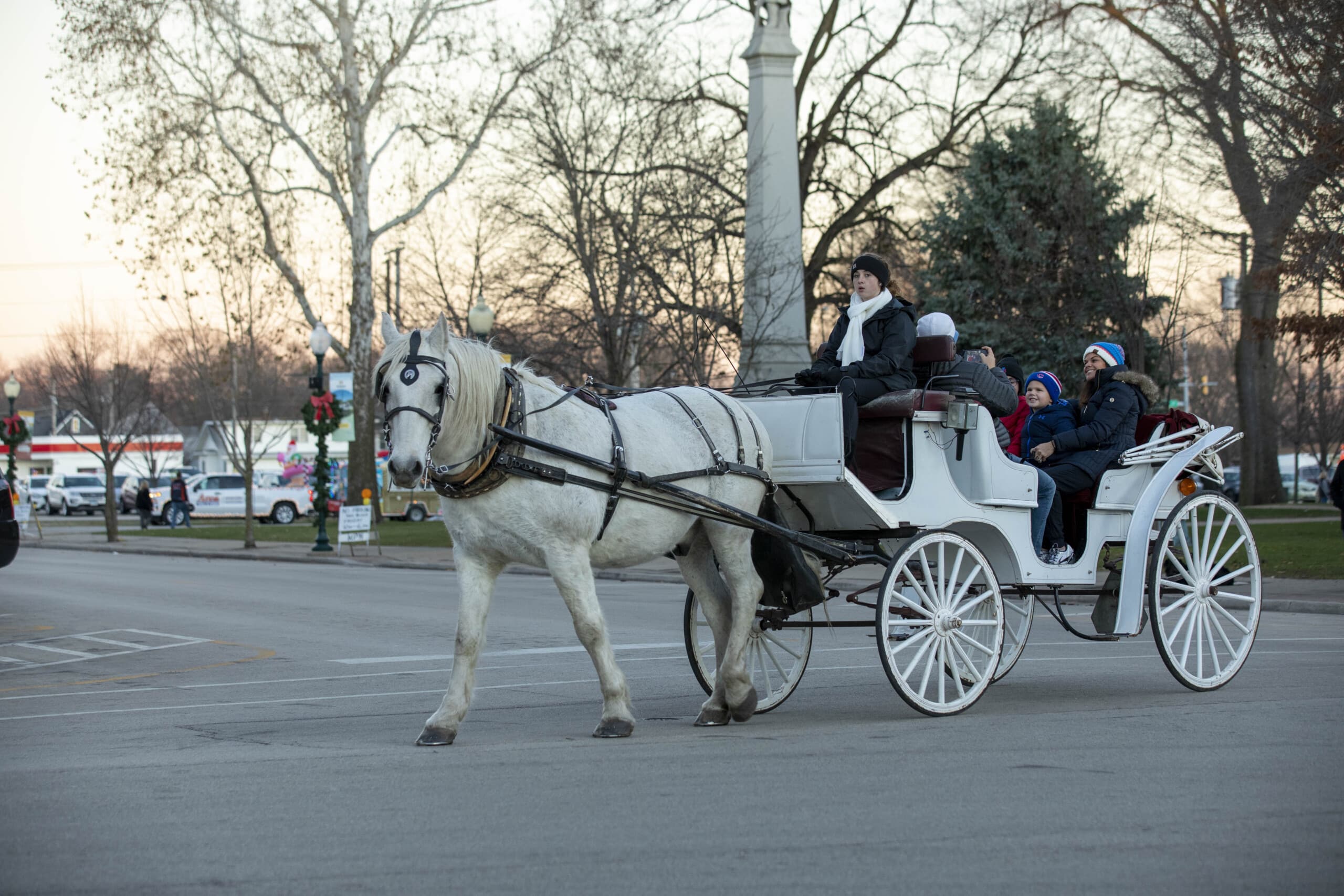 Horse-drawn carriage ride with passengers in urban park.