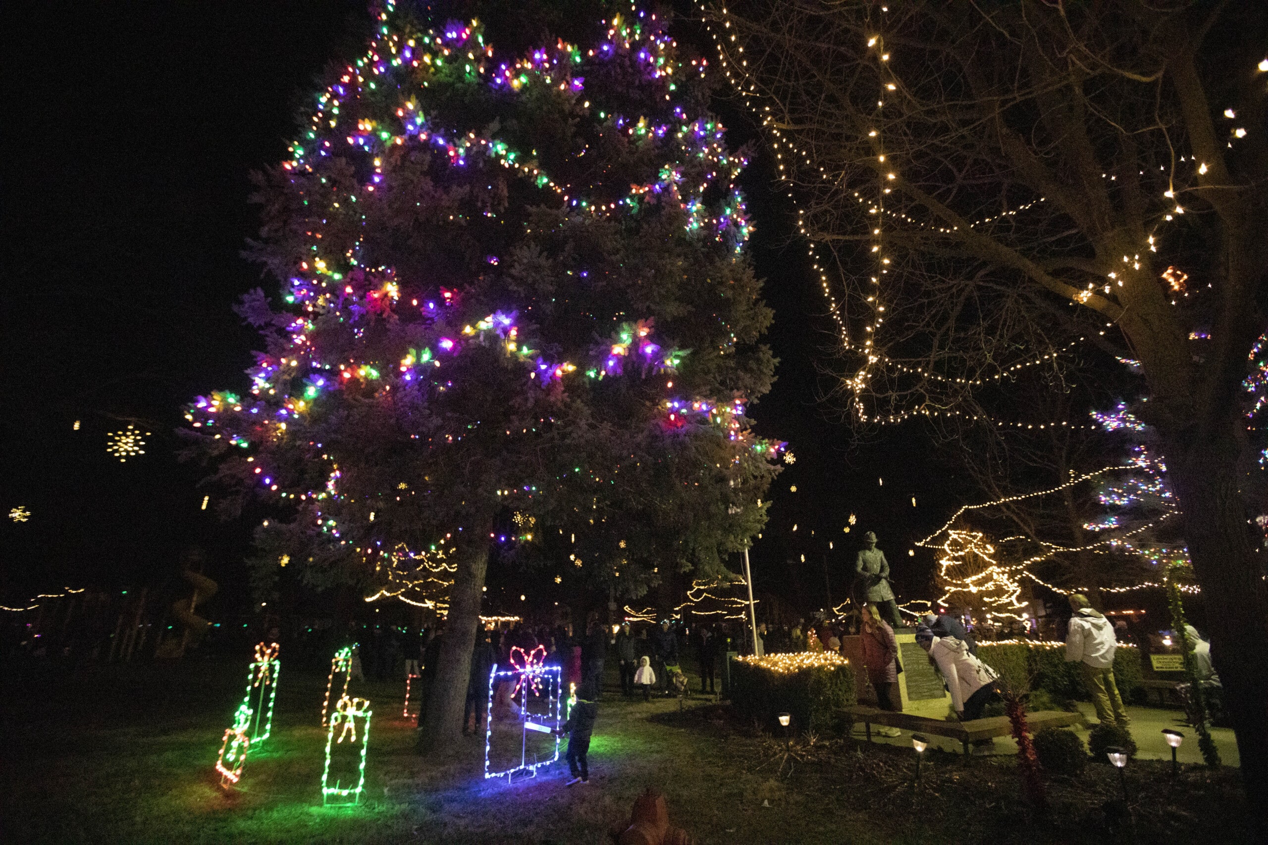 Illuminated Christmas tree and decorations at night.